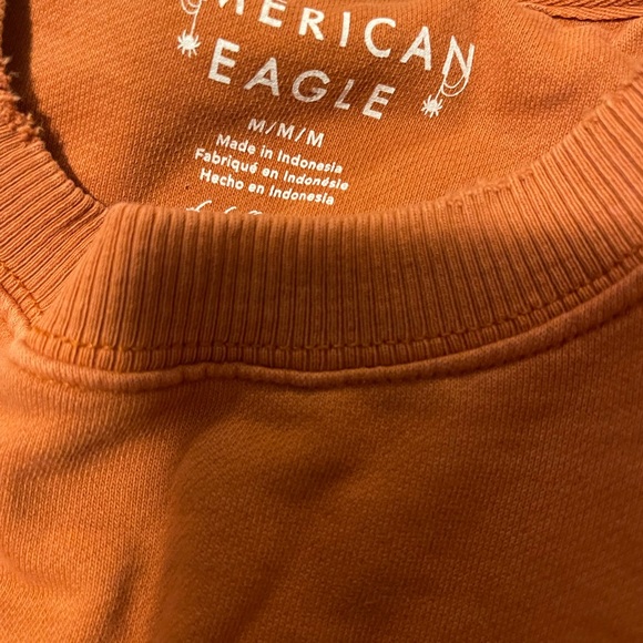 American Eagle Outfitters Rust Crewneck Sweater - Picture 3 of 4